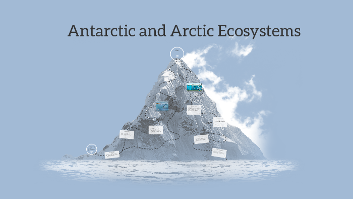 Antarctic and Arctic Ecosystems by naomy fernandez on Prezi