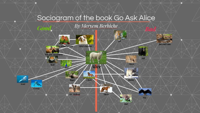 Sociogram of the book Go Ask Alice by Meryem Berbiche on Prezi