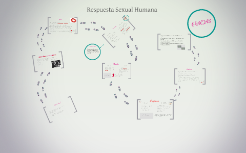 Respuesta Sexual Humana by keith de la torre on Prezi