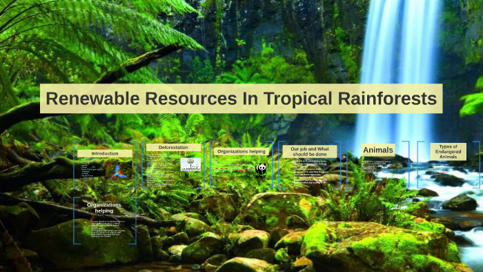 Renewable Resources In Tropical Rainforests by manjeet singh