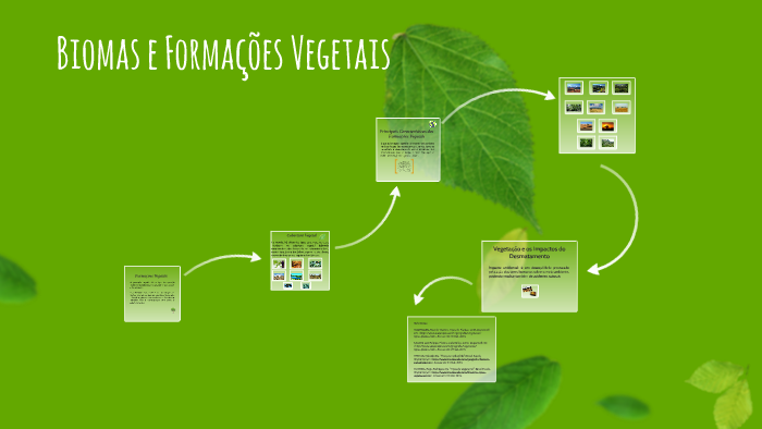 Biomas e Formações Vegetais by Adrielle Molena on Prezi