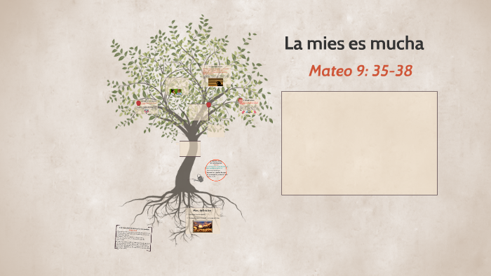 La mies es mucha by ila cansi on Prezi