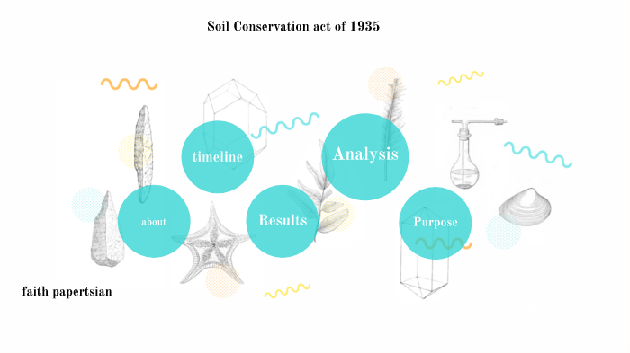 soil-conservation-should-become-a-global-priority-solidaridad-network