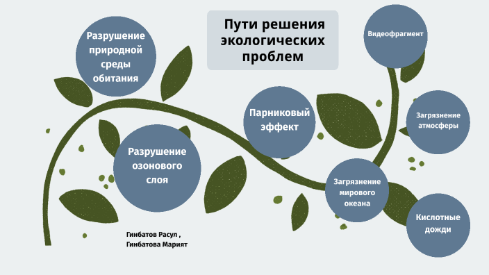 3 пути решения природоохранных проблем