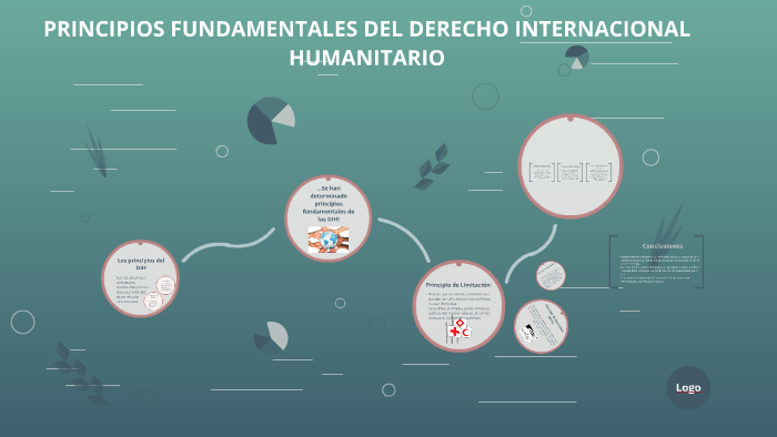 PRINCIPIOS FUNDAMENTALES DEL DERECHO INTERNACIONAL HUMANITAR by Luisa