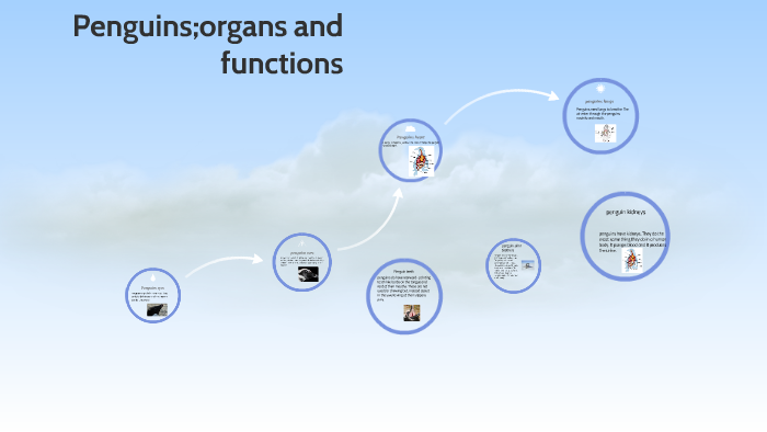 penguin-organs-and-functions-by-tess-ramsey