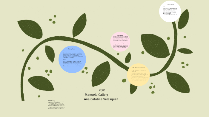 proyecto emprendimiento by manuela calle on Prezi