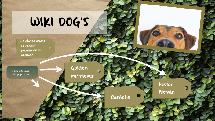 Razas de Perros by Natasha Paz on Prezi