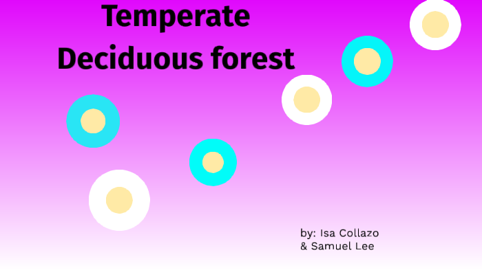 Temperate Deciduous Forest By Grayson Lee On Prezi