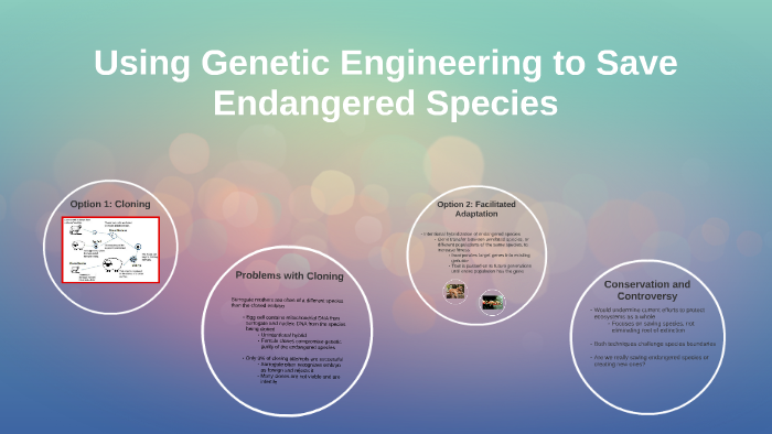 Will Gene Editing Save Endangered Species Experts Weigh In - uense98
