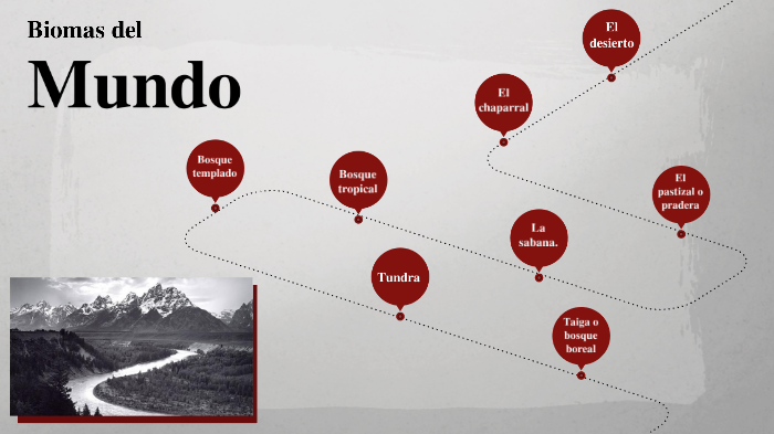 Biomas del mundo by Alexandra Lasso on Prezi