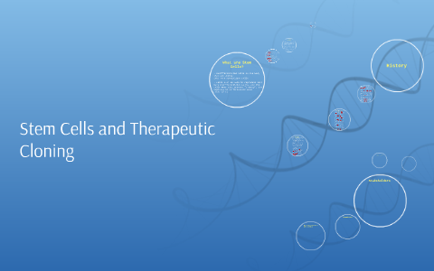 Stem Cells and Therapeutic Cloning by Ashwin K on Prezi
