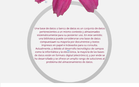 base de datos by on Prezi