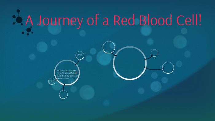 A Journey of a Red Blood Cell! by Nhi Cao on Prezi