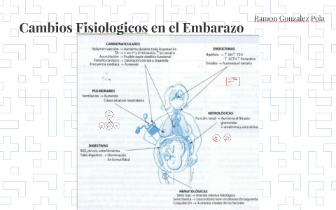 Cambios Fisiologicos by Ramon Pola