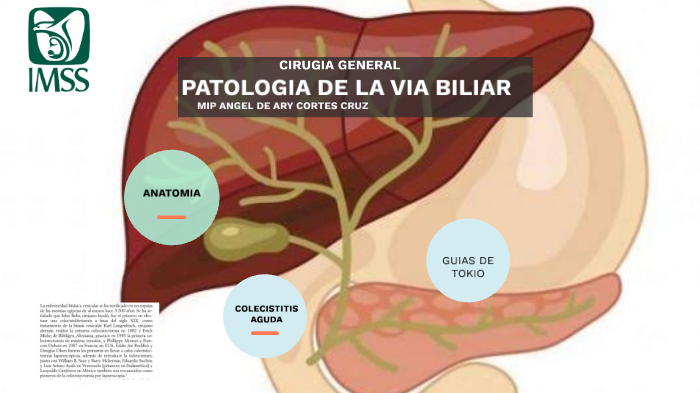 patologia via biliar by Hugini Mendoza on Prezi