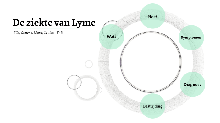 Ziekte Van Lyme By Louisa Cordes On Prezi