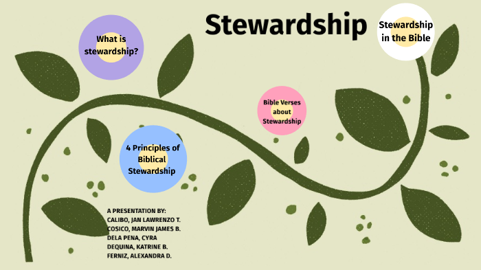 biblical stewardship definition