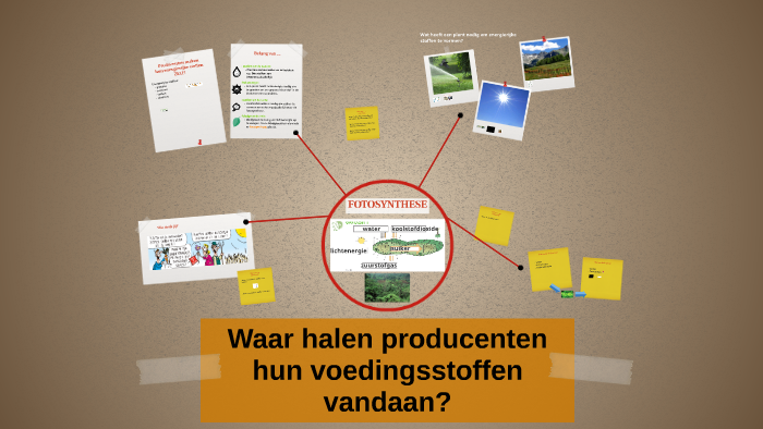 Waar halen producenten hun voedingsstoffen vandaan? by Janne Vanhauwaert