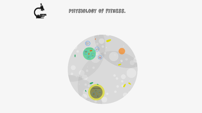 Short term effects of exercise. by Loxley Blumer on Prezi