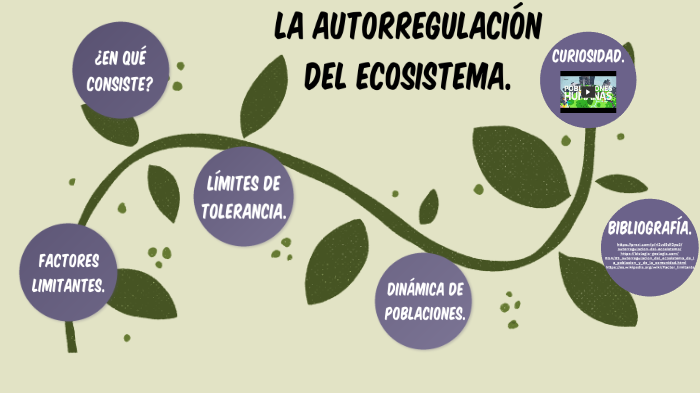 LA AUTORREGULACIÓN DEL ECOSISTEMA. by María Rodríguez on Prezi