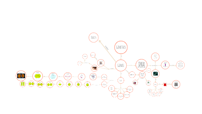 Inheritance Concept Map by Kyra Best on Prezi