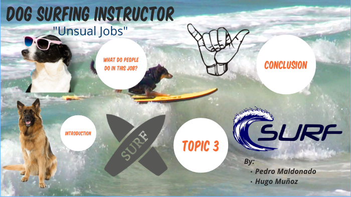 dog-surfing-instructor-by-hugo-mu-oz-on-prezi