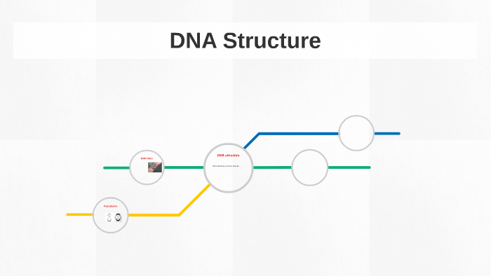 DNA structure by Izzy magnuson-lee on Prezi