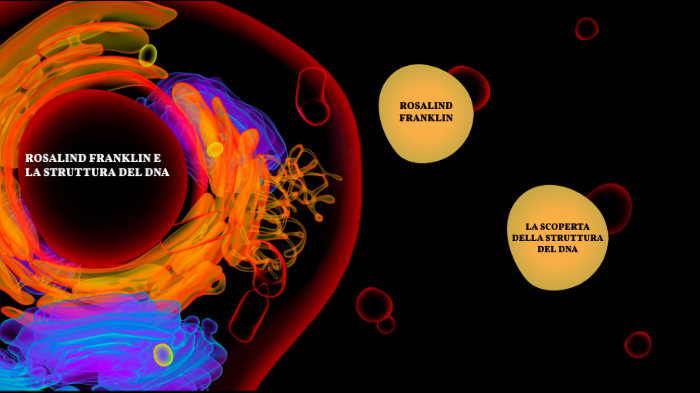 ROSALIND FRANKLIN E LA SCOPERTA DEL DNA by caterina ciandri on Prezi