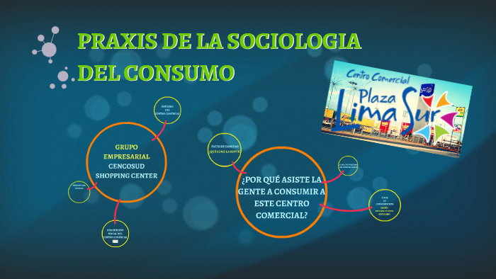 Praxis De La Sociologia Del Consumo By Trabajos Ucv 6625