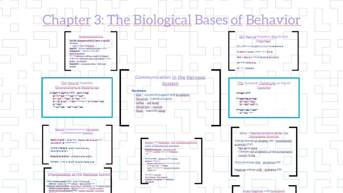 Chapter 3: The Biological Bases Of Behavior By Ciara Aleman