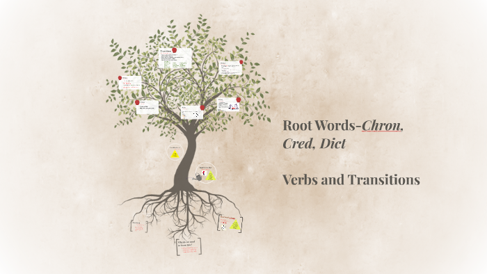 root-words-chron-cred-dict-by-jennifer-shokat