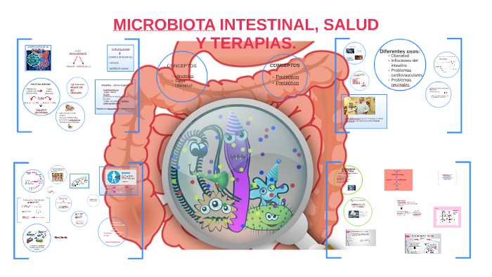 microbiota intestinal by on Prezi