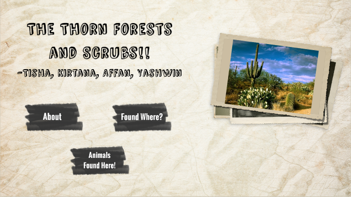 tropical thorn forests and scrubs