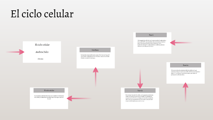 El Ciclo celular by andrea julio on Prezi