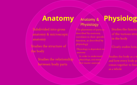 what is the main difference between anatomy and physiology