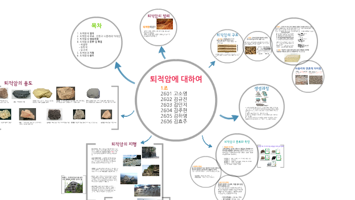 유기 퇴적암