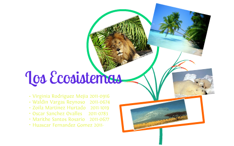 Los ecosistemas by Zoila Martinez on Prezi