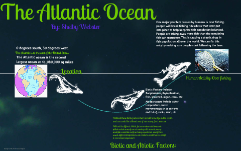 Ocean Biome- The Atlantic Ocean by shelby webster