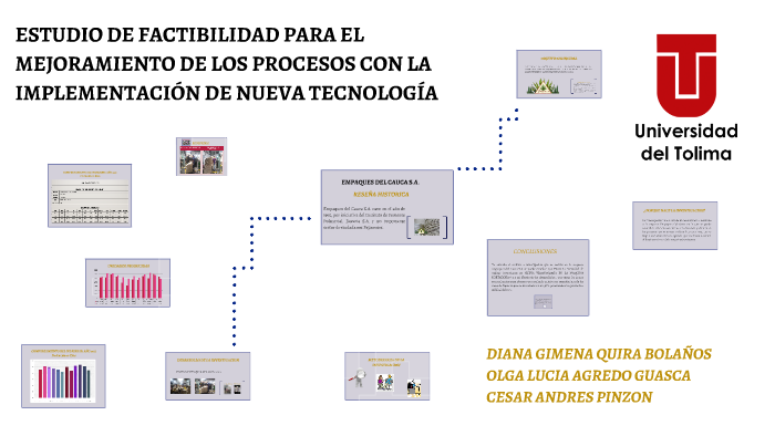 ESTUDIO DE FACTIBILIDAD PARA EL MEJORAMIENTO DE LOS PROCESOS By Oscar ...