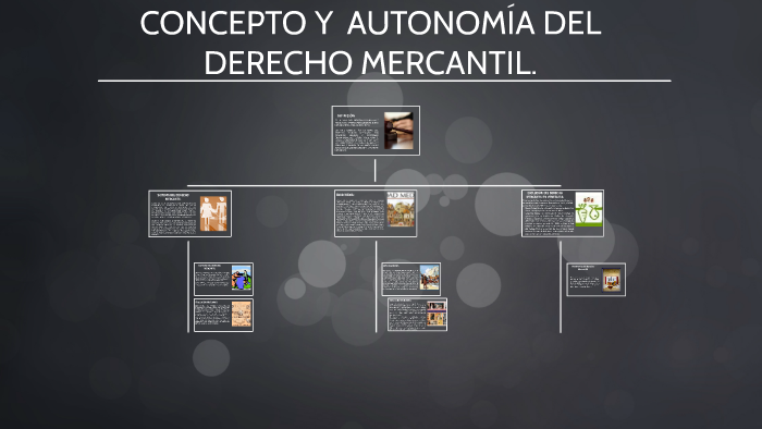 CONCEPTO Y AUTONOMÍA DEL DERECHO MERCANTIL by Cristina