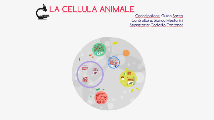 LA CELLULA ANIMALE by Carlotta Fontanot on Prezi