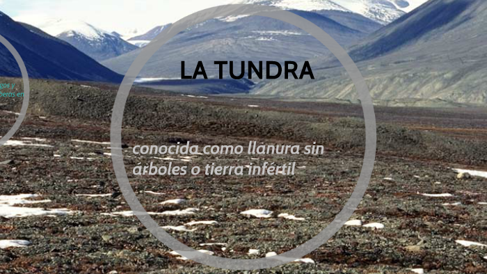 Ecosistemas: LA TUNDRA by alejandro villanueva