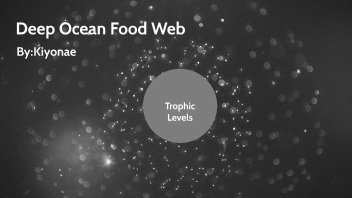 deep-ocean-food-web-by-kiyonae-riggs-on-prezi