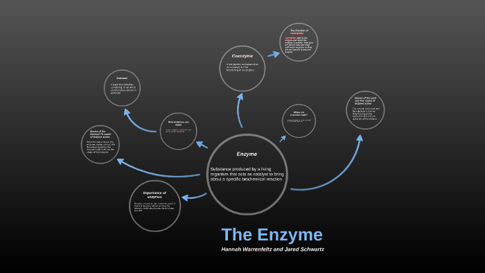 Enzyme Concept Map By Hannah Warrenfeltz 1761