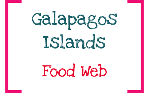 Food Web: Galapagos Island by Kelly Lyn on Prezi