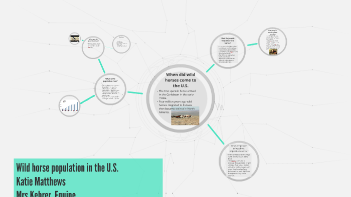 Wild horse population in the U.S. by katie matthews on Prezi