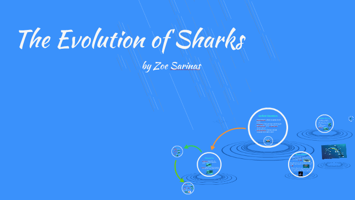 The Evolution of Sharks by Zoe Sarinas on Prezi