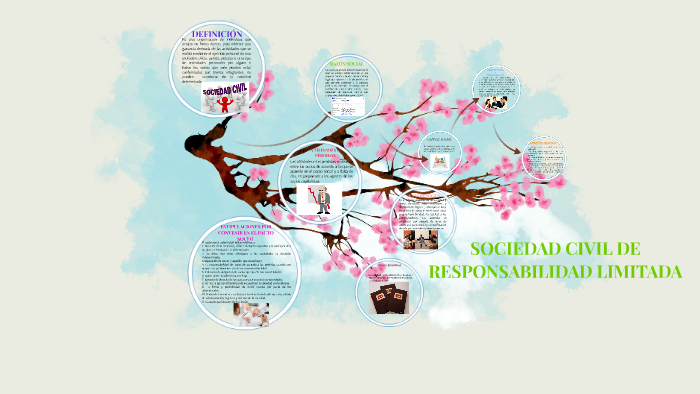 SOCIEDAD CIVIL DE RESPONSABILIDAD LIMITADA By Karen Melanie L pez Chavarria