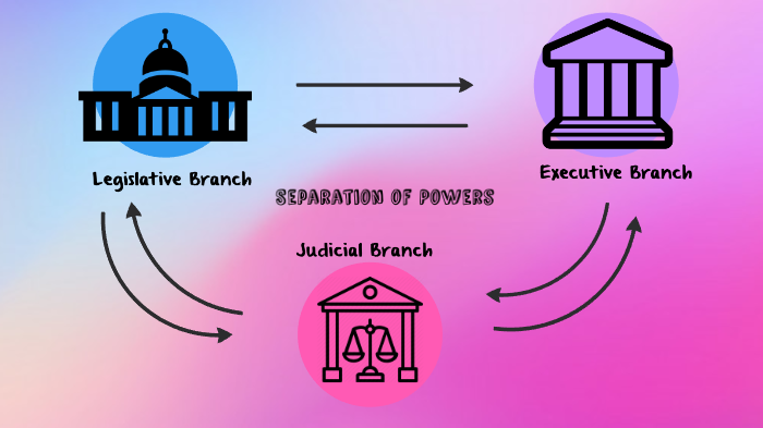 3 Branches Of Government by Kiara Mitjans on Prezi